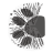 Catademic