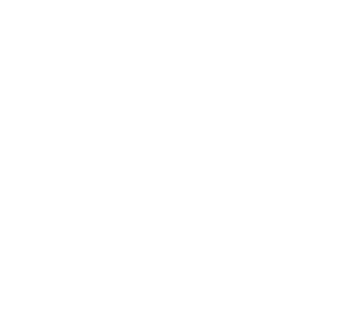 Instituto para la Inclusión Social y el Desarrollo